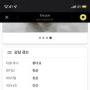 무드앤독 네이버블로그