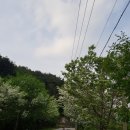 이팝나무 펜션 이미지