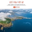 (주)제주성산부동산중개법인 이미지