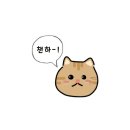 신세계의정부푸마