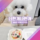 너한개나한개 | &#34;핸드메이드 퀄리티, 우리 강아지가 먼저 알아보네요&#34; 🍰 유니노스 ‘너한개나한개’ 강아지 수제간식 후기