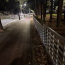 평화그린카서비스 | 7월 일상입니다..지금이라고 오해하지마새요..