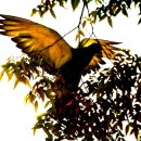 대사동천 이미지