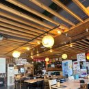 우아연어 이미지