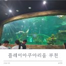 보고플레이 | 부천 아쿠아리움 플레이아쿠아리움 부천 19개월 아기랑 다녀온 후기