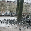 유림-1012 이미지