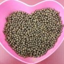 현서네마테차 이미지