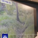 (26.9.28. KTV LIVE) DMZ 폭발사고 관련 합참 브리핑 (중간조사 결과) 이미지