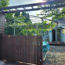 오로라민박 이미지