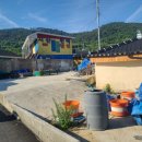 시산민박 이미지