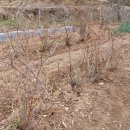 여주-0053 이미지