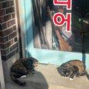 마장로319번길 이미지