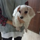 금장2리 이미지