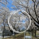 병곡면보건지소 이미지