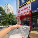 핫도규 이미지