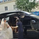 영암카써비스 이미지