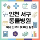 청라 공감 동물의료센터 | 인천 서구 동물병원 예약 및 진료비 바로가기 (+야간 할증 비용)