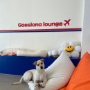 플라이투더뭉 이미지