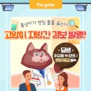 연일메디칼