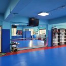 동아대 신진태권도 이미지