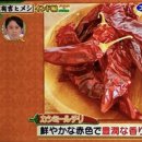 스파이스치리