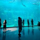 태흥목장 이미지