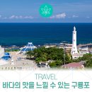 바다과메기