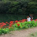 불갑사관광지 이미지