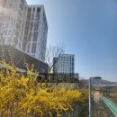 점프부동산공인중개사사무소 이미지