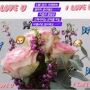 [Replay 지훈님]-4 포근한 HOME 을 가지고 왔습니다.. 이미지