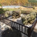 마상마을회관 이미지