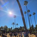 마리아어린이공원 이미지