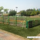 동탄센트럴파크 풋살구장 네이버블로그