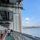 한국가든 | 한국국제걷기대회 가든파이브 42km 완보후기