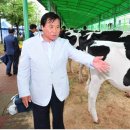 양주수출딸기