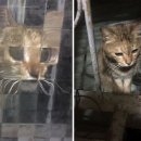 네모네모 이미지