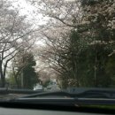 고성종합운동장 가는길 이미지