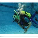 올림픽수영장 이미지