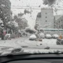 설레인네일