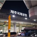 바른갈치 | 잊을 수 없던 제주도 갈치조림 맛집 바른갈치 제주공항본점 후기