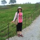 종화목장 이미지