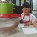 서울문백초등학교 이미지