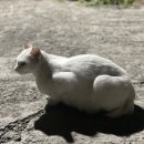 선바우 집 이미지