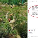 구구커피숍 - 성주군 대장길 85-17 | 구구커피숍