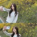 한수아 카카오 검색결과