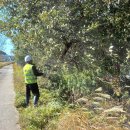 용혈1리 이미지