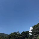 숲속애 휴가 이미지