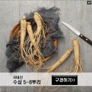 인삼약초건강원