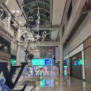 비엣젯 항공 결항 / 트립닷컴 / 해결후기