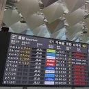 대한수도 - 1033 | [김포공항 제주행 결항] 1탄 대한항공 결항 후기_ 당일 대체편 받은 실제 과정